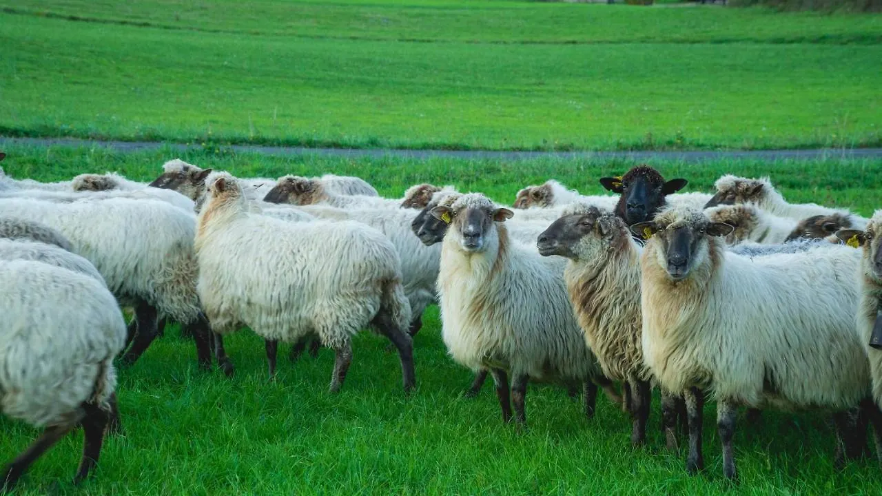 Caserio Iruaritz Amurrio Casa rural